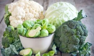 Pelatihan Agribisnis Sayuran