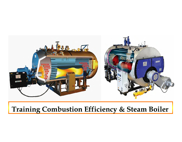 Training Combustion Efficiency and Steam Boiler