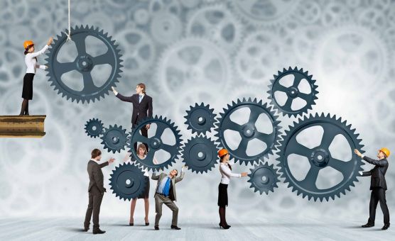 Training Maintenance Management (Advanced)