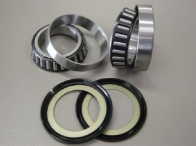 Training Seals and Bearing