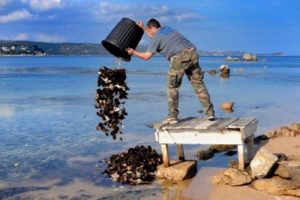Training Water Pollution