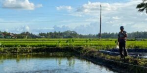 Manajemen Agribisnis dan Perikanan